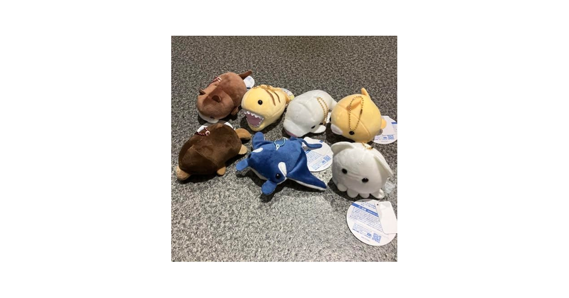 クレーンゲームでゲット　うみものシリーズもちぷに水族館しゅーごーぬいぐるみ7 Amazon.co.jp: 超もちぷに水族館 しゅーごーぬいぐるみ うみもの